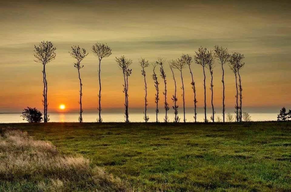 Domek Morski Сважево Екстер'єр фото